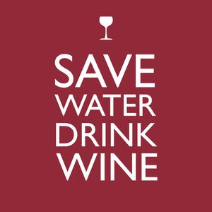 Guardanapo-de-Papel-Save-Water-Drink-Wine-33X33CM-20PCS